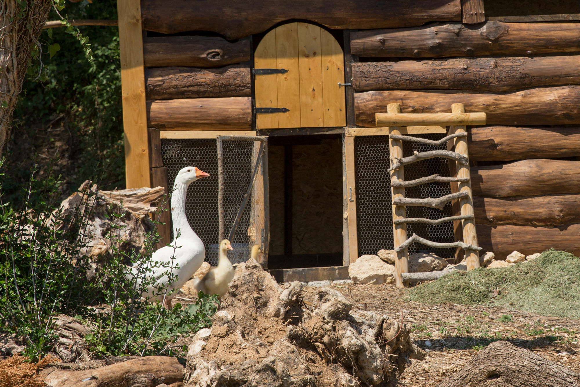 Agriturismo Le Anfore Sarteano Buitenkant foto